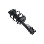 FCS Struts 1334099R Suspension Strut and Coil Spring Assembly