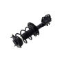 FCS Struts 1334103L Suspension Strut and Coil Spring Assembly