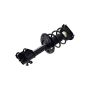 FCS Struts 1334103L Suspension Strut and Coil Spring Assembly