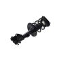 FCS Struts 1334103R Suspension Strut and Coil Spring Assembly