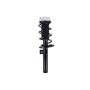 FCS Struts 1334107L Suspension Strut and Coil Spring Assembly