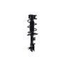 FCS Struts 1334108L Suspension Strut and Coil Spring Assembly