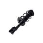 FCS Struts 1334108L Suspension Strut and Coil Spring Assembly