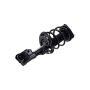 FCS Struts 1334113L Suspension Strut and Coil Spring Assembly