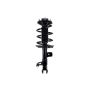 FCS Struts 1334113L Suspension Strut and Coil Spring Assembly