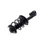 FCS Struts 1334113L Suspension Strut and Coil Spring Assembly