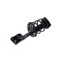 FCS Struts 1334113R Suspension Strut and Coil Spring Assembly