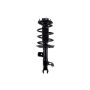 FCS Struts 1334113R Suspension Strut and Coil Spring Assembly