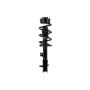 FCS Struts 1334142L Suspension Strut and Coil Spring Assembly