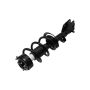 FCS Struts 1334142L Suspension Strut and Coil Spring Assembly
