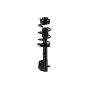 FCS Struts 1334142R Suspension Strut and Coil Spring Assembly