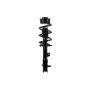 FCS Struts 1334142R Suspension Strut and Coil Spring Assembly