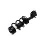FCS Struts 1334142R Suspension Strut and Coil Spring Assembly