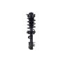 FCS Struts 1334144L Suspension Strut and Coil Spring Assembly
