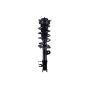 FCS Struts 1334144L Suspension Strut and Coil Spring Assembly