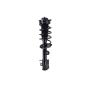 FCS Struts 1334144R Suspension Strut and Coil Spring Assembly