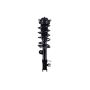 FCS Struts 1334144R Suspension Strut and Coil Spring Assembly