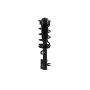 FCS Struts 1334145L Suspension Strut and Coil Spring Assembly