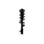FCS Struts 1334145L Suspension Strut and Coil Spring Assembly