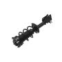 FCS Struts 1334145L Suspension Strut and Coil Spring Assembly