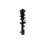 FCS Struts 1334145R Suspension Strut and Coil Spring Assembly