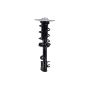 FCS Struts 1334146L Suspension Strut and Coil Spring Assembly