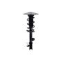 FCS Struts 1334146L Suspension Strut and Coil Spring Assembly
