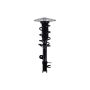 FCS Struts 1334146R Suspension Strut and Coil Spring Assembly