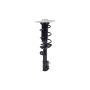 FCS Struts 1334148L Suspension Strut and Coil Spring Assembly