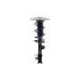 FCS Struts 1334148L Suspension Strut and Coil Spring Assembly