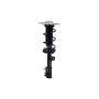 FCS Struts 1334148R Suspension Strut and Coil Spring Assembly