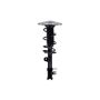FCS Struts 1334148R Suspension Strut and Coil Spring Assembly