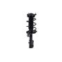 FCS Struts 1334163L Suspension Strut and Coil Spring Assembly