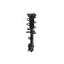 FCS Struts 1334221L Suspension Strut and Coil Spring Assembly