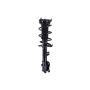 FCS Struts 1334221R Suspension Strut and Coil Spring Assembly