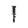 FCS Struts 1334221R Suspension Strut and Coil Spring Assembly