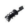 FCS Struts 1334221R Suspension Strut and Coil Spring Assembly