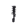 FCS Struts 1334225L Suspension Strut and Coil Spring Assembly