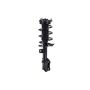 FCS Struts 1334225R Suspension Strut and Coil Spring Assembly