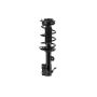 FCS Struts 1334234R Suspension Strut and Coil Spring Assembly