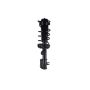 FCS Struts 1334235L Suspension Strut and Coil Spring Assembly
