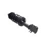 FCS Struts 1334235L Suspension Strut and Coil Spring Assembly