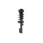FCS Struts 1334235R Suspension Strut and Coil Spring Assembly