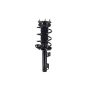 FCS Struts 1334303R Suspension Strut and Coil Spring Assembly