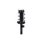 FCS Struts 1334303R Suspension Strut and Coil Spring Assembly