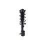 FCS Struts 1334308L Suspension Strut and Coil Spring Assembly