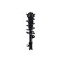 FCS Struts 1334308L Suspension Strut and Coil Spring Assembly