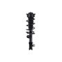 FCS Struts 1334308R Suspension Strut and Coil Spring Assembly