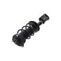 FCS Struts 1334308R Suspension Strut and Coil Spring Assembly
