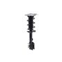 FCS Struts 1334309L Suspension Strut and Coil Spring Assembly